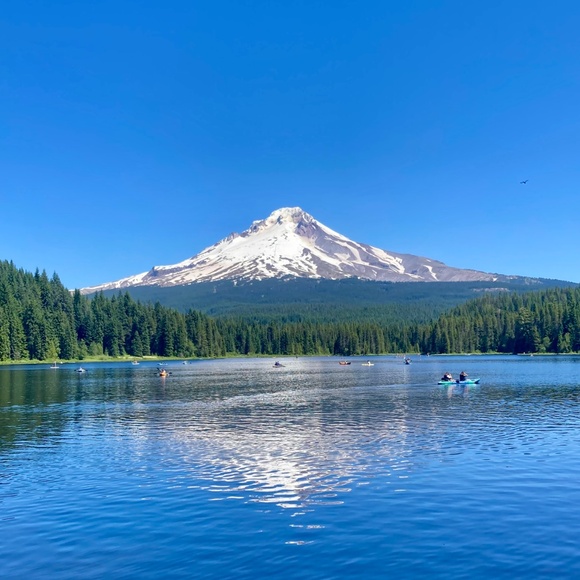 Meet your Posher, Jessie Leigh - Picture 7 of 11